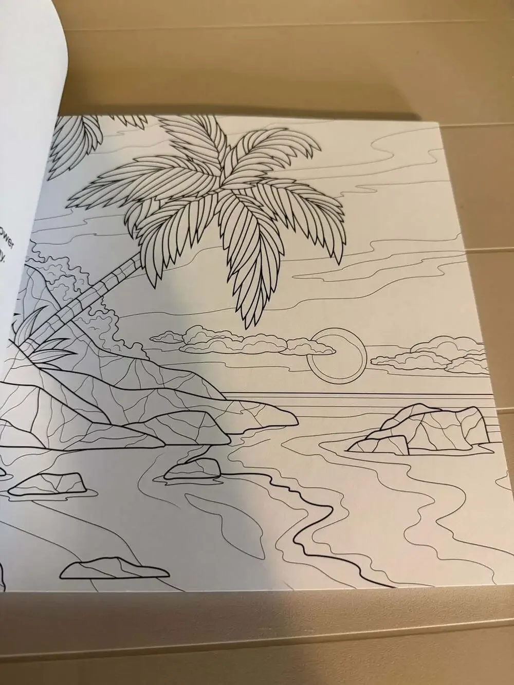 New Seasons Calm Coloring Adult Stress Relief Activity Book